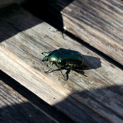 Similar image 170627