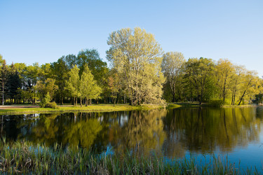 Similar image 170633