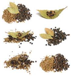 Similar image 170653