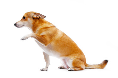 Similar image 170654