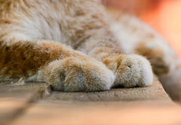 Similar image 170706