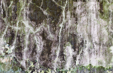 Similar image 170711