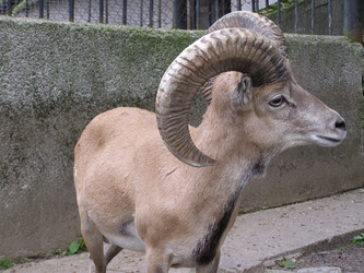 Similar image 170725