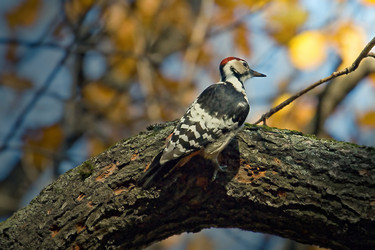 Similar image 170729