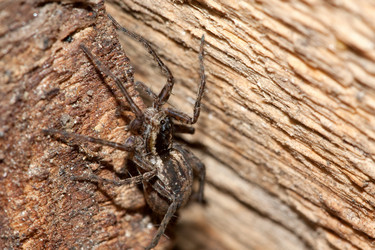 Similar image 170735