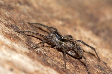 Similar image 170739