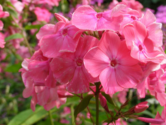 Similar image 170743