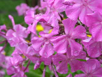 Similar image 170747