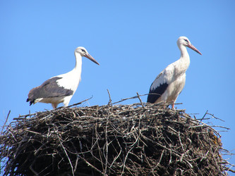 Similar image 170764