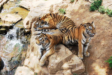 Similar image 170776