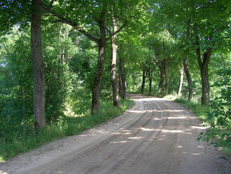 Similar image 170786