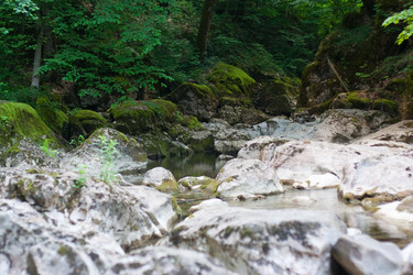 Similar image 170795