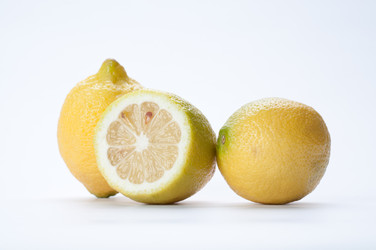 Similar image 170800