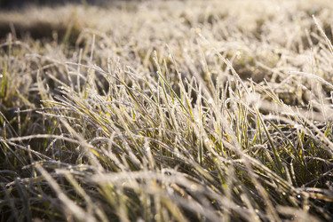 Similar image 170827