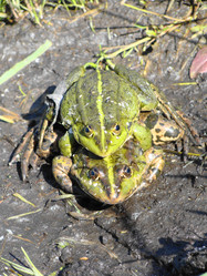 Similar image 170854