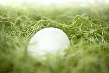 Similar image 170859