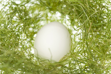 Similar image 170874