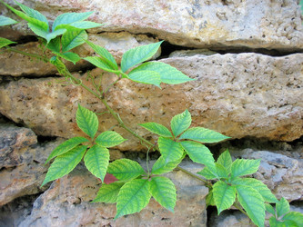 Similar image 170882