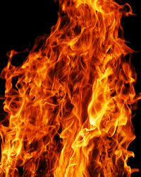 Similar image 170886