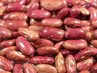 Similar image 170917