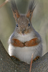 Similar image 170922