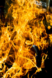 Similar image 170939