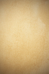 Similar image 170944