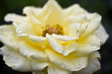 Similar image 170977