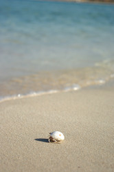 Similar image 170978