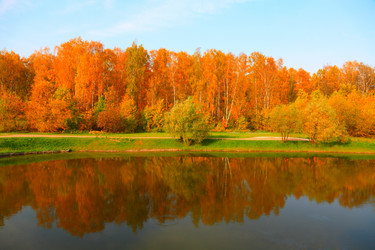 Similar image 170987