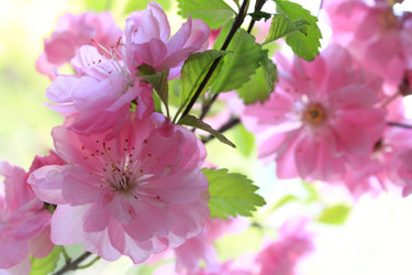 Similar image 170991