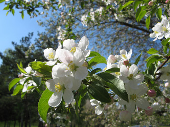 Similar image 171017