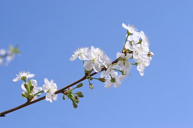 Similar image 171018