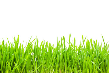 Similar image 171020