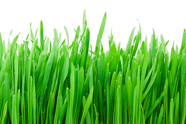 Similar image 171021