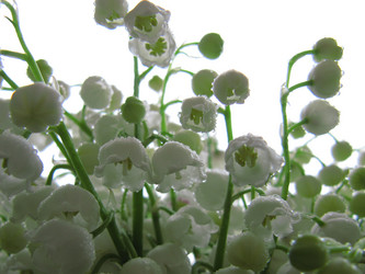 Similar image 171027