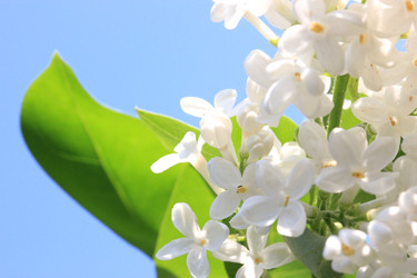 Similar image 171030