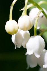 Similar image 171036