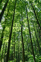 Similar image 171043