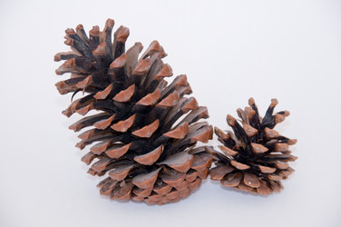 Similar image 171057