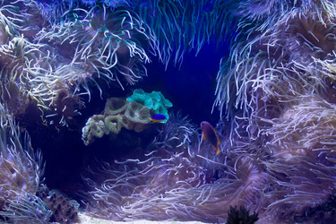 Similar image 171072