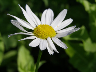 Similar image 171110