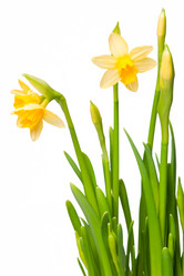 Similar image 171131