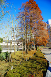 Similar image 171133