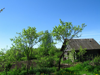 Similar image 171154