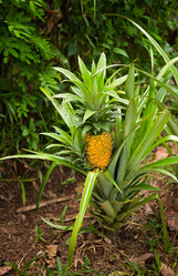 Similar image 171162