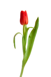 Similar image 171184