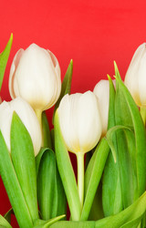 Similar image 171187