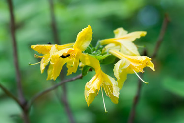 Similar image 171188