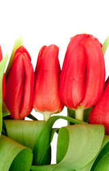 Similar image 171189